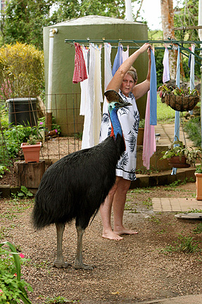 Jan-Shang-and-cassowary